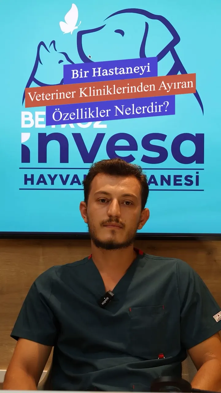 Invesa videosundan kare: “Bir Hastaneyi Veteriner Kliniklerinden Ayıran Özellikler Nelerdir?” başlığı