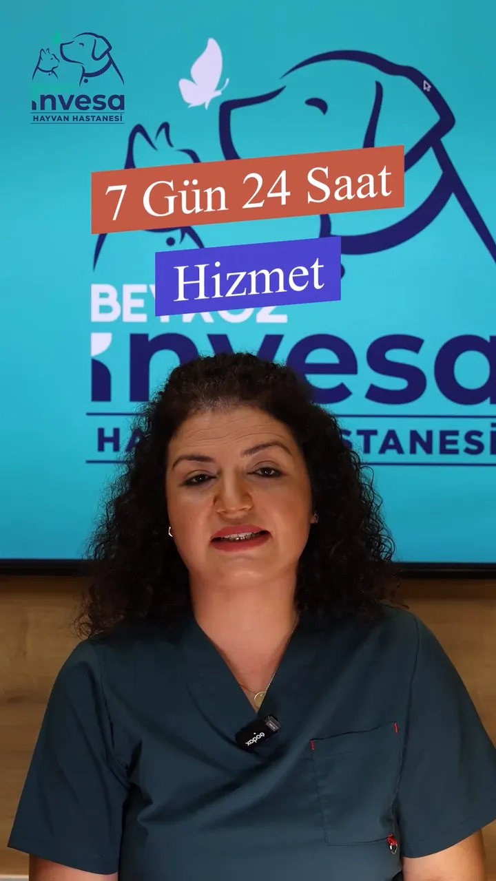 Invesa videosundan kare: “7 Gün 24 Saat Hizmet” başlığı